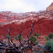 Capitol Reef NP 7